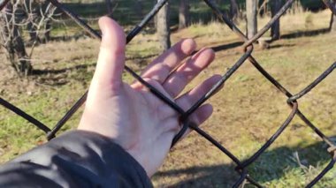 iron grate. steel mesh. the hand is holding the grate. a man's hand holds a steel mesh. conclusion. gate. fence. dream of freedom. jail. A Variety Of Prison Stories And Angles Available.