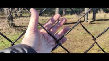 iron grate. steel mesh. the hand is holding the grate. a man's hand holds a steel mesh. conclusion. gate. fence. dream of freedom. jail. A Variety Of Prison Stories And Angles Available.