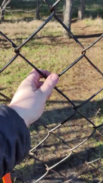 Iron Grate Steel Mesh Hand Holding Grate Man Hand Holds — Stok video
