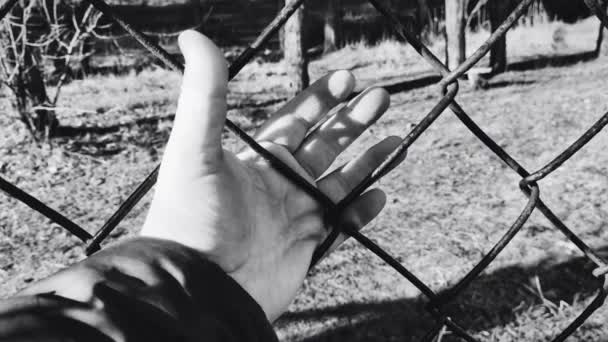 Iron Grate Steel Mesh Hand Holding Grate Man Hand Holds — стоковое видео