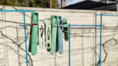 İpte çok renkli mandallar var. Tarafsız yeşil zeminde çiy damlaları olan mavi mandallar, beyaz telde mandallar, çamaşır ipi kurutma teli, çok renkli mandallar..