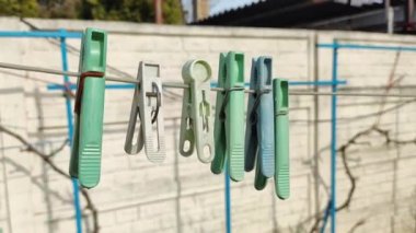 İpte çok renkli mandallar var. Tarafsız yeşil zeminde çiy damlaları olan mavi mandallar, beyaz telde mandallar, çamaşır ipi kurutma teli, çok renkli mandallar..