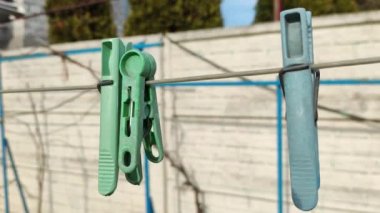 İpte çok renkli mandallar var. Tarafsız yeşil zeminde çiy damlaları olan mavi mandallar, beyaz telde mandallar, çamaşır ipi kurutma teli, çok renkli mandallar..