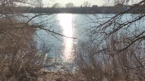 水の上の日当たりの良い道 水の中の太陽の反射です 川の上の小さな波 澄んだ水 春の自然 水のある風景 ウクライナの風景 デンバー川 — ストック動画