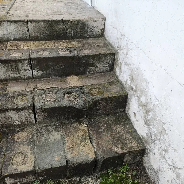 Viejos Pasos Concretos Viejos Escalones Hormigón Bosque Subiendo Las Escaleras —  Fotos de Stock