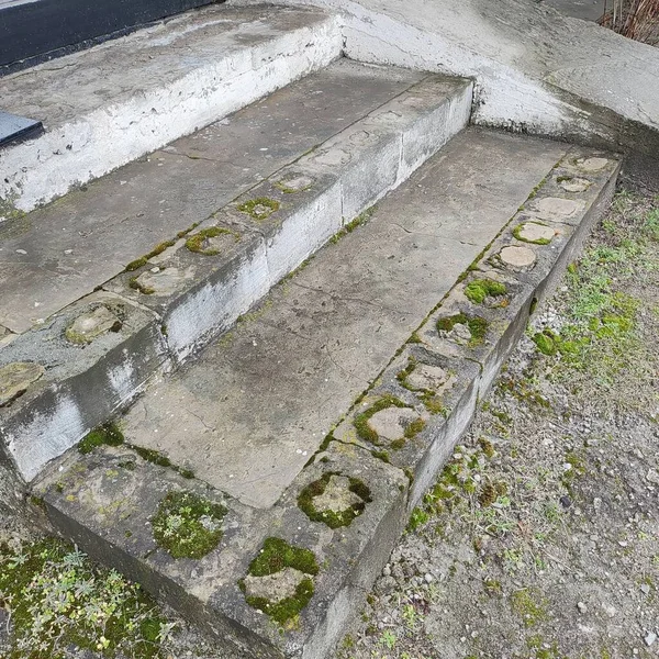 stock image old concrete steps. old concrete steps in forest. Walking up the stairs, moving the camera from top to bottom. Camera movement down the old concrete stairs.