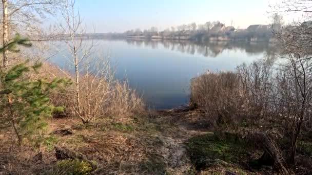 Doğal Manzara Nehir Kıyısında Nehirde Bir Sabah Ukrayna Manzarası Dnepr — Stok video
