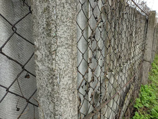 Fémből Betonból Készült Kerítés Acélháló Hálókerítés Szürke Betonkerítés Egy Bronzzal — Stock Fotó