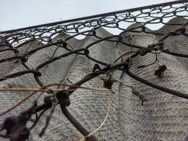 Φράχτη Από Μέταλλο Και Σκυρόδεμα Χαλύβδινο Πλέγμα Φράχτη Ματιών Γκρι — Φωτογραφία Αρχείου