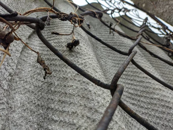 Metal Betondan Yapılmış Çitler Çelik Çit Örgüsü Gri Beton Çit — Stok fotoğraf