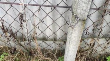 Metal ve betondan yapılmış çitler. Çelik ağ. Çit örgüsü. gri beton çit. Bronzla kaplı çelik bir ızgaradan yapılmış metal bir kapı sağa doğru hareket ediyor, eski beton bir duvarın arkasında..