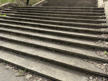 Eski beton merdivenler. Merdivenlerde kuru yapraklar var. Kameralar kuru meşe yapraklarıyla kaplı merdivenlerden yukarı kayıyor. Ağır çekim yakın çekim. Yerde yatan sonbahar yeşilliğinin ayrıntılı hareketli görüntüsü.