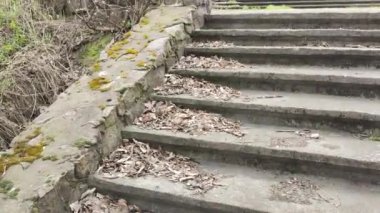 Eski beton merdivenler. Merdivenlerde kuru yapraklar var. Kameralar kuru meşe yapraklarıyla kaplı merdivenlerden yukarı kayıyor. Ağır çekim yakın çekim. Yerde yatan sonbahar yeşilliğinin ayrıntılı hareketli görüntüsü.