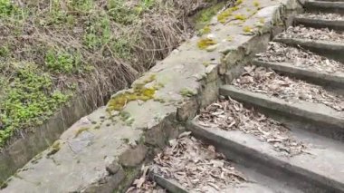 Eski beton merdivenler. Merdivenlerde kuru yapraklar var. Kameralar kuru meşe yapraklarıyla kaplı merdivenlerden yukarı kayıyor. Ağır çekim yakın çekim. Yerde yatan sonbahar yeşilliğinin ayrıntılı hareketli görüntüsü.