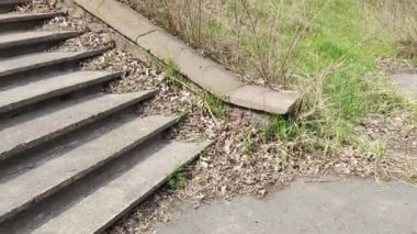 Eski beton merdivenler. Merdivenlerde kuru yapraklar var. Kameralar kuru meşe yapraklarıyla kaplı merdivenlerden yukarı kayıyor. Ağır çekim yakın çekim. Yerde yatan sonbahar yeşilliğinin ayrıntılı hareketli görüntüsü.