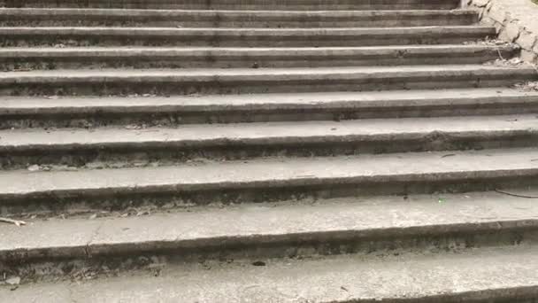 古いコンクリートの階段 階段の上に乾いた葉 乾燥したオークの葉で覆われた階段を滑り上がるカメラは スローモーションを閉じます 地上に横たわる紅葉の細かな動き — ストック動画