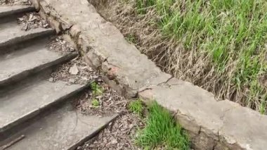 Eski beton merdivenler. Merdivenlerde kuru yapraklar var. Kameralar kuru meşe yapraklarıyla kaplı merdivenlerden yukarı kayıyor. Ağır çekim yakın çekim. Yerde yatan sonbahar yeşilliğinin ayrıntılı hareketli görüntüsü.