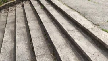 Eski beton merdivenler. Merdivenlerde kuru yapraklar var. Kameralar kuru meşe yapraklarıyla kaplı merdivenlerden yukarı kayıyor. Ağır çekim yakın çekim. Yerde yatan sonbahar yeşilliğinin ayrıntılı hareketli görüntüsü.