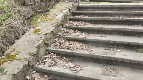 Escadas Concreto Velho Folhas Secas Nos Degraus Câmera Deslizando Pelas — Vídeo de Stock