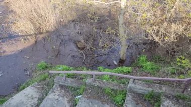 Ekolojik sorunlar. Kirli su. Sel. Ukrayna. Ekolojik felaket. Dünya Günü. Sudaki ağaçlar. Çöp ve kir ama suyun yüzeyi. Doğa kirliliği. Plastik atık.