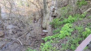 Ekolojik sorunlar. Kirli su. Sel. Ukrayna. Ekolojik felaket. Dünya Günü. Sudaki ağaçlar. Çöp ve kir ama suyun yüzeyi. Doğa kirliliği. Plastik atık.