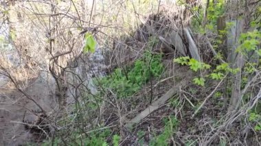 Ekolojik sorunlar. Kirli su. Sel. Ukrayna. Ekolojik felaket. Dünya Günü. Sudaki ağaçlar. Çöp ve kir ama suyun yüzeyi. Doğa kirliliği. Plastik atık.