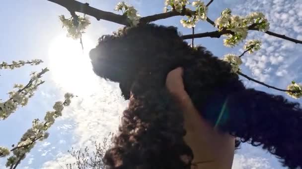 Küçük Siyah Köpek Yavrusu Ellerinde Siyah Kaniş Kafasını Sallayan Sevimli — Stok video