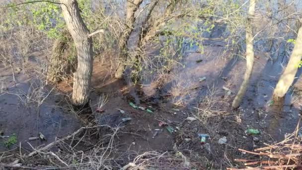 生態系の問題 汚染水だ 洪水だ ウクライナだ 生態学的大惨事 アースデイ 水の中の木 ゴミや汚れが 水の表面 自然汚染だ — ストック動画