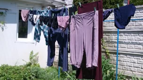 服は線で乾かしてある 家の裏庭では衣類や寝具が乾燥しており 近くの芝生の上には洗濯籠が立っています — ストック動画
