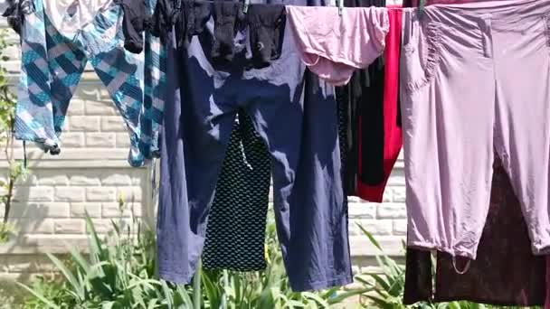 Ubrania Suszone Linii Ubrania Pościel Suszą Się Podwórku Domu Kosz — Wideo stockowe