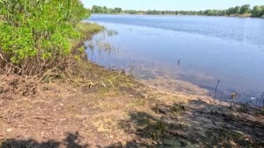 Dnepr Nehri. Ukrayna. Nehirde su baskını. Ekolojik felaket. Su baskını. Kuraklık. Bir hidroelektrik santralinin çökmesinin sonuçları. Herson şehri. Dnepropetrovsk bölgesi. Nehirli Ukrayna manzarası.