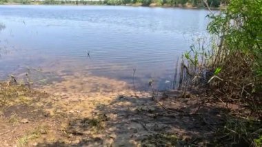 Dnepr Nehri. Ukrayna. Nehirde su baskını. Ekolojik felaket. Su baskını. Kuraklık. Bir hidroelektrik santralinin çökmesinin sonuçları. Herson şehri. Dnepropetrovsk bölgesi. Nehirli Ukrayna manzarası.