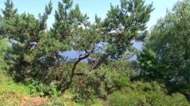 Dnepr Nehri. Ukrayna. Nehirde su baskını. Ekolojik felaket. Su baskını. Kuraklık. Bir hidroelektrik santralinin çökmesinin sonuçları. Herson şehri. Dnepropetrovsk bölgesi. Nehirli Ukrayna manzarası.