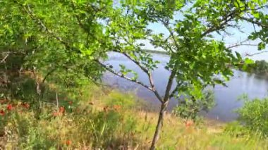 Dnepr Nehri. Ukrayna. Nehirde su baskını. Ekolojik felaket. Su baskını. Kuraklık. Bir hidroelektrik santralinin çökmesinin sonuçları. Herson şehri. Dnepropetrovsk bölgesi. Nehirli Ukrayna manzarası.