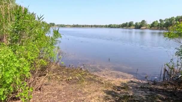 Dnepr River Ukrajina Záplavy Řece Ekologická Katastrofa Záplavy Sucho Důsledky — Stock video