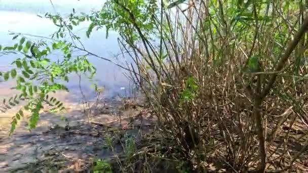 우크라이나 강에서의 생태학적 발전소의 붕괴로 결과입니다 드네프로페트로프스크 흐르는 우크라이나 — 비디오