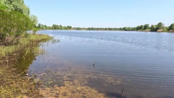 Río Dnepr Ucrania Inundación Río Catástrofe Ecológica Inundación Sequía Consecuencias — Vídeos de Stock