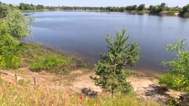 Río Dnepr Ucrania Inundación Río Catástrofe Ecológica Inundación Sequía Consecuencias — Vídeos de Stock