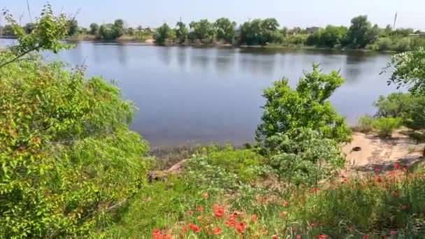 Річка Дніпро Україна Повінь Річку Екологічна Катастрофа Повінь Посуха Наслідки — стокове відео