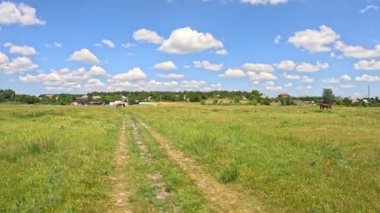 Tarlaları ve atları olan doğal bir manzara. Atlar sahada. Yeşil tarla ve güzel gökyüzü. Beyaz olakalar sahada. Otlak. Çimlerin üzerinde atlar.
