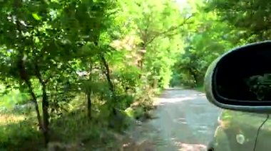 Kötü bir yolda araba kullanmak. Arabayla seyahat et. Sürücünün bakış açısından. Araba kulübesi. Adam sürüyor. Yoldaki ağaç tüneli. Güzel bir yol ve doğa. otomatik yükle.