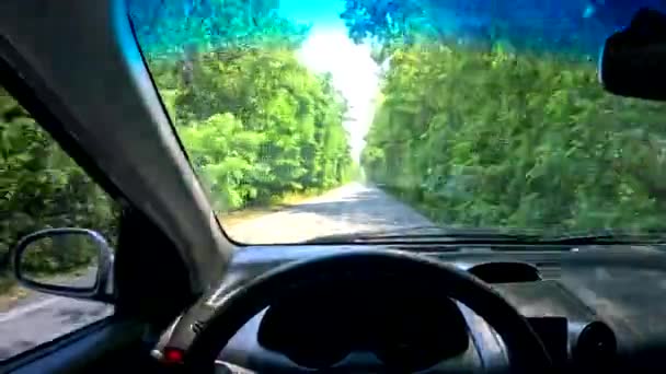 悪い道で車で運転する 車で旅行する ドライバーの視点から 車のキャビン 運転する男 ツリートンネルが道路に 美しい道と自然 オートトラベル — ストック動画