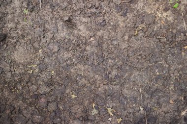 Kuru ve çatlak toprak. Kuru çatlamış toprak arkaplanı