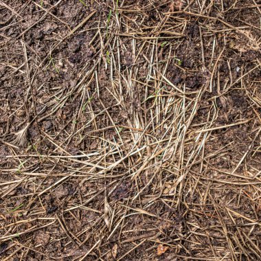 Kuru ve çatlak toprak. Kuru çatlamış toprak arkaplanı