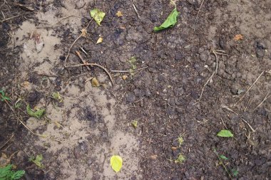 Kuru ve çatlak toprak. Kuru çatlamış toprak arkaplanı