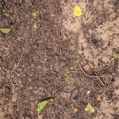 Kuru ve çatlak toprak. Kuru çatlamış toprak arkaplanı
