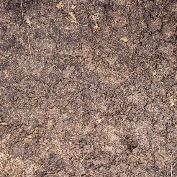 乾燥したひび割れた地球 乾燥した割れた地球の背景 — ストック写真