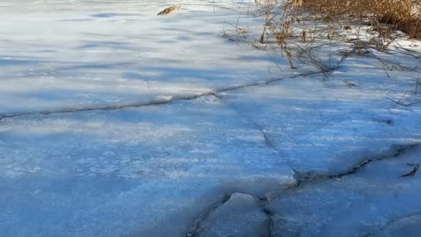 Eisstruktur Eiszapfen Winter Winterwetter Stelzenläufer Und Schnee Risse Eis Gefrorenes — Stockvideo