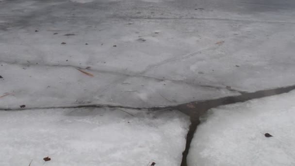 아이스 텍스처 이클스 스틸트와 얼음에 투명한 — 비디오