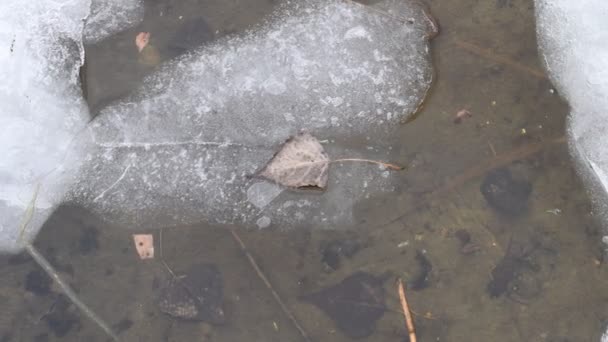 Buz Dokusu Buz Saçakları Kış Kış Havası Islık Kar Buzda — Stok video